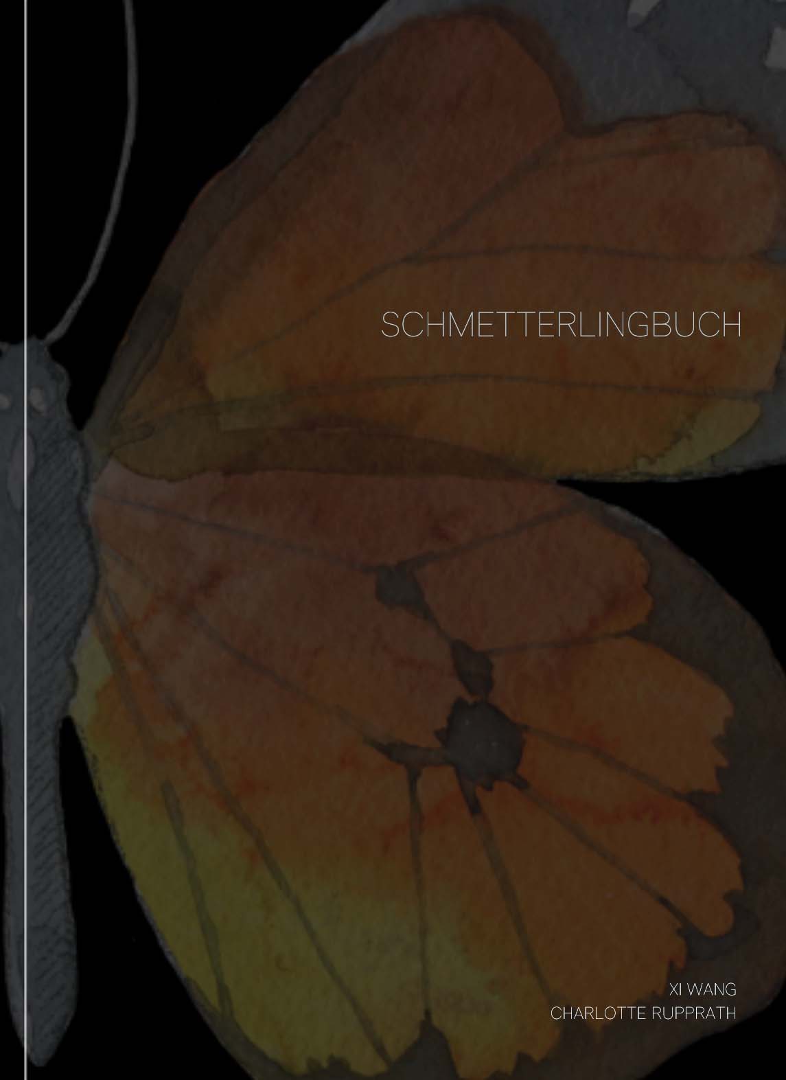 Read more about the article SCHMETTERLINGBUCH